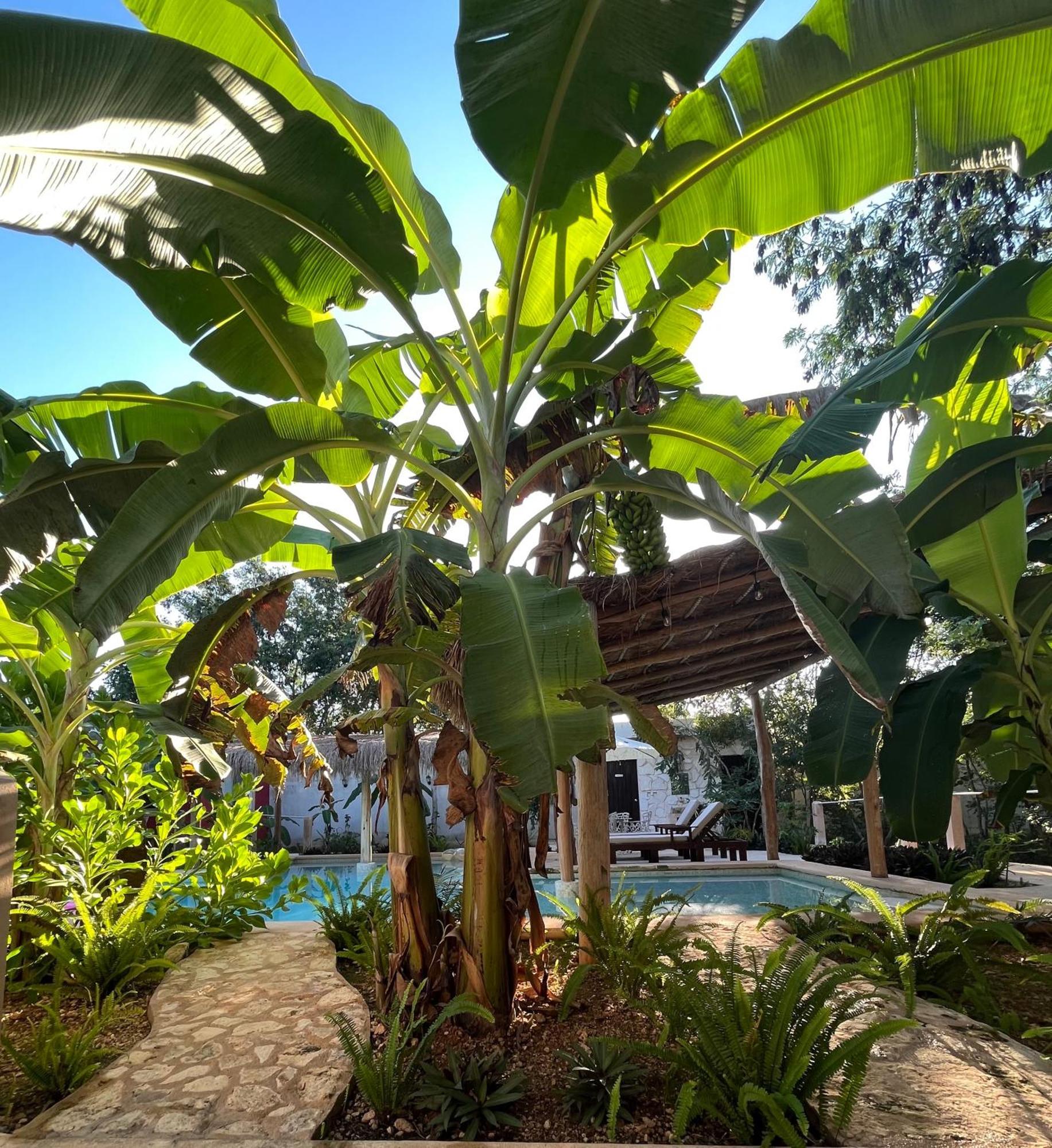 Villas Tikuch Exteriér fotografie